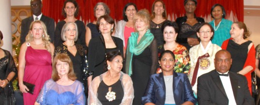 Diplomatic Dinner