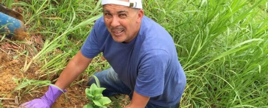 Corpus Christi Garden Cultivation