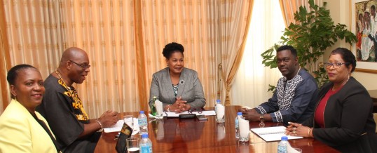 Her Excellency Meets with Representatives of NATUC