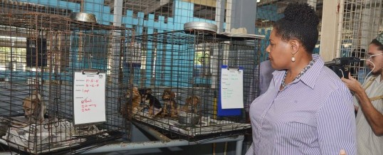 Visit to the TTSPCA
