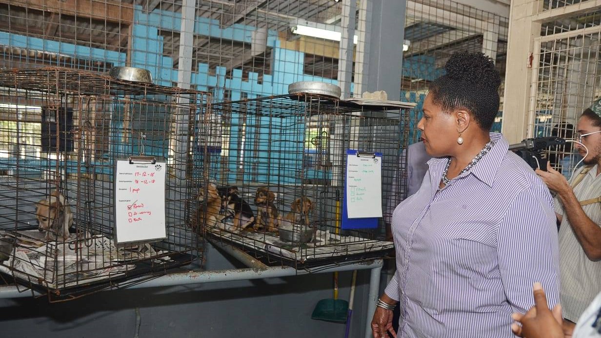 Visit to the TTSPCA