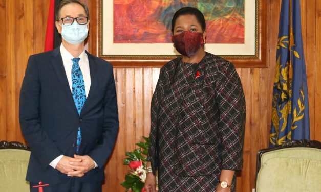 Her Excellency receives two Departing Ambassadors