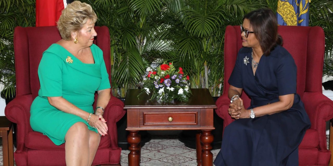 Presentation of Credentials: Ambassador of the Republic of Ireland
