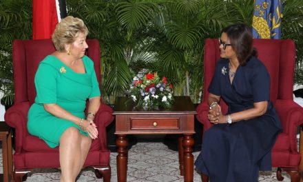 Presentation of Credentials: Ambassador of the Republic of Ireland