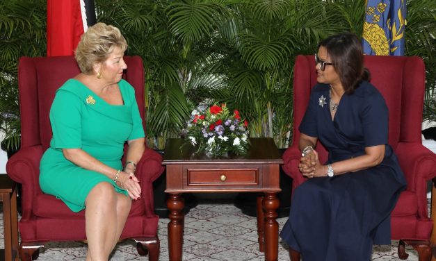 Presentation of Credentials: Ambassador of the Republic of Ireland