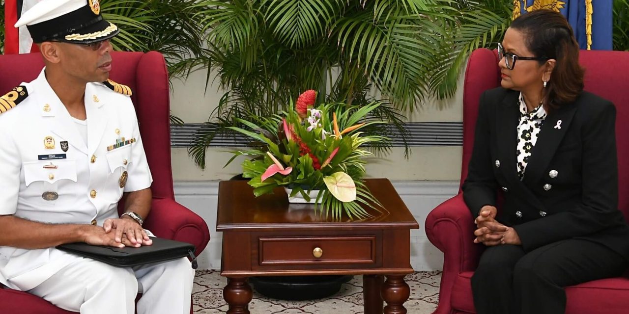 Courtesy Call: Chief of Defence Staff